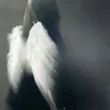 jxq.8o