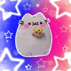 coquettekitt