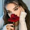 user8594533558212