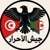 elmoutafael