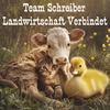 daniela.team.schre