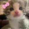 maronika_ve