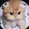 chelly2008