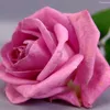 cngzlm