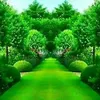 aamino.axmed32