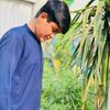 romankhan.78