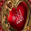 zeeshan.ch503