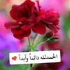 user4531954016573