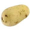 ziemnior63