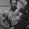 Gymvice