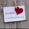 aabehayat276