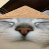 ton_maxa_prefff