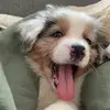 finn_oliver_a