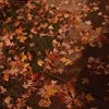 fallwintertok