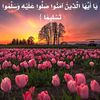 salo3alarasoul