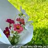 user2213805265017