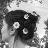 leen_242l_e_e_n0