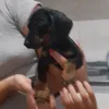 francesca0_9