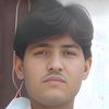 abul.munib