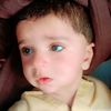 shizada433