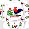 pawirosinglefighter