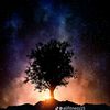 mohammed.ibrahim.h6