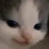 tuyet_uwu