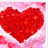 user78415582003372