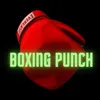 Boxing punch