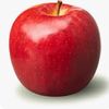 1244apple