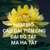 hieu.le.thi2