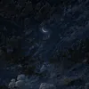 rim1447