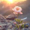 gamze005043