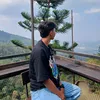 dnmstfa