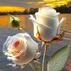 heer65849