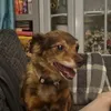 carenmurphy8