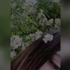 uvmz
