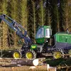 foresty_4
