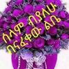 user528786505586