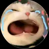 mtkienplus