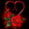 user8002087822745