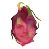 ezzymaexo