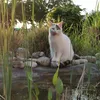 jojo_hanna1431917
