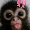 hi_js_lara7