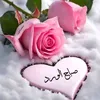 user75012238773682