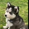 ikerhp_28jjsj