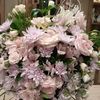 erly8027