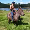 paulo_hrr2