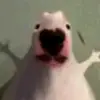 gracensbad_
