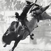 Bull Riding 🇺🇸